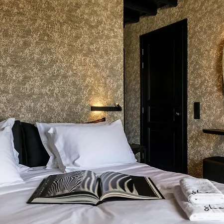 فندق She Mykonos Boutique 3*